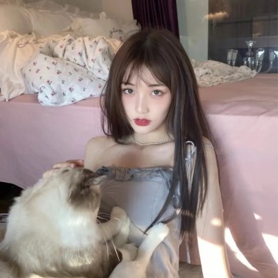 如果历史是一群喵第六季
