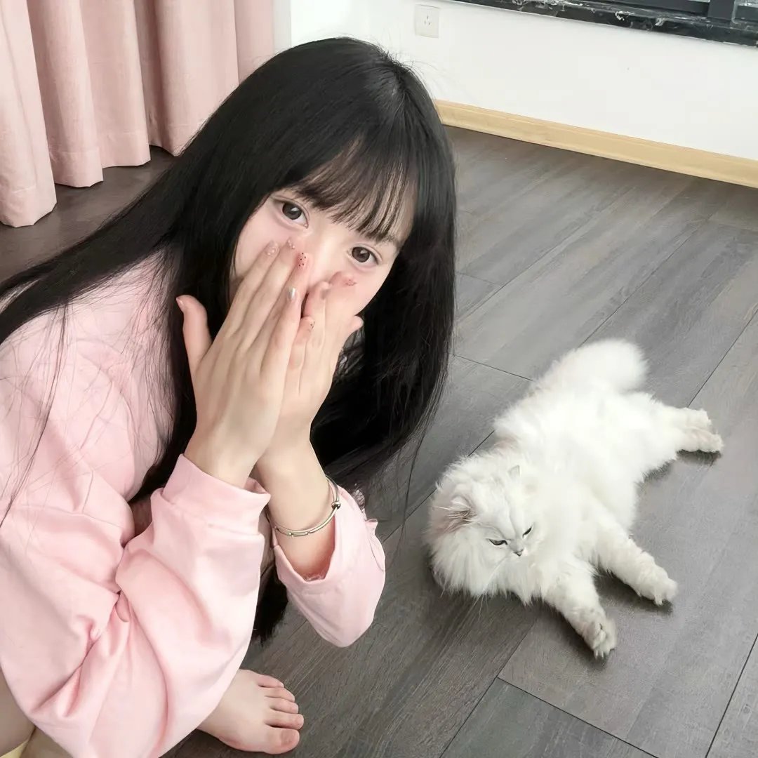 被狮子吃掉了